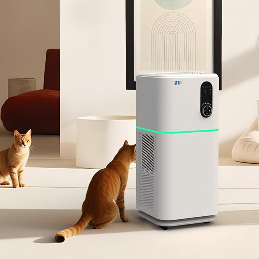 Berk D6S Durable Humidifying Manual Air Purifier