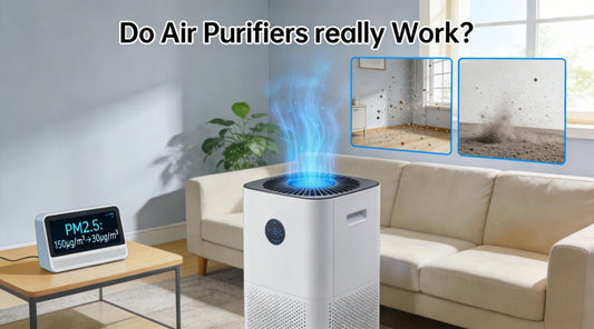 Do Air Purifiers really Work?