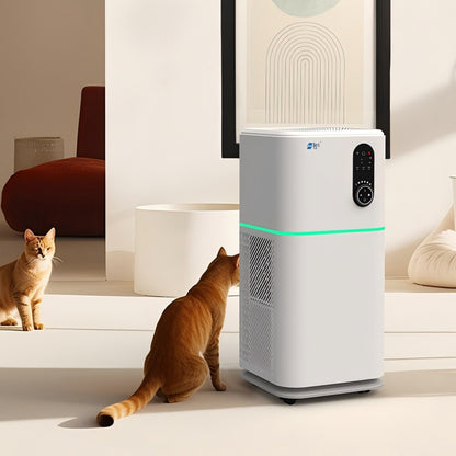 Berk D6S Durable Humidifying Manual Air Purifier