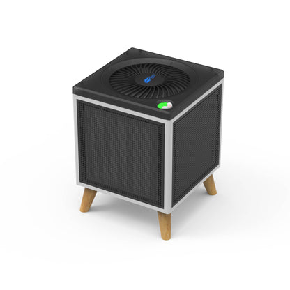 Berk Z07 Portable DeHome Rechargeable Air Purifier
