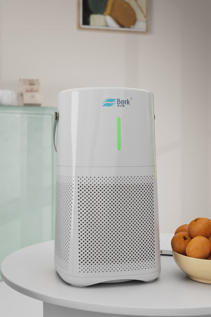 Berk D3S Maternal Child Level WIFI Household Air Purifier
