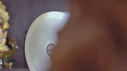 Berk Z06 Mini Desktop Dual Purpose Home Use Air Purifier